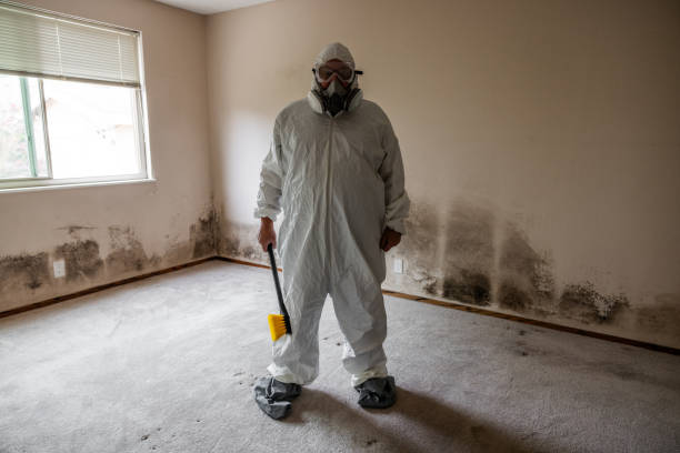 Mold Remediation for Vacation Homes in White Oak, PA